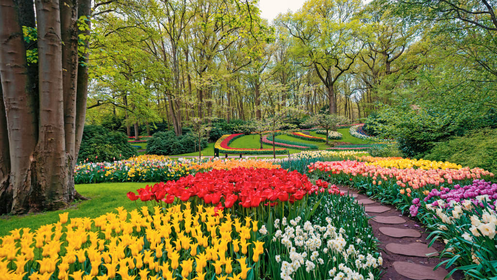 Parco Keukenhof